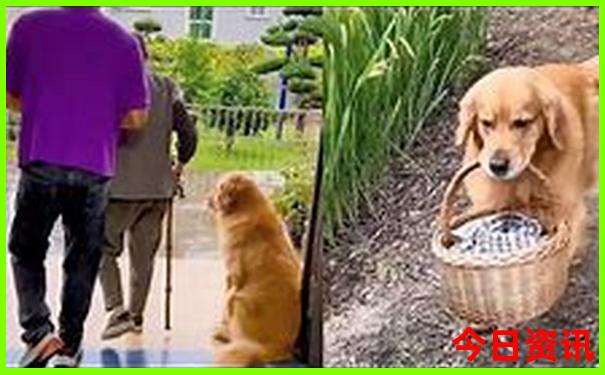 哪里旅游最好玩最便宜